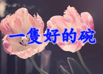 【細說人生】【視頻】第506集 – 一隻好的碗