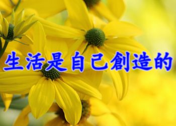【細說人生】【視頻】第528集 – 生活是自己創造的
