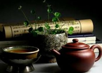 【生活小百科】 第17集：不同茶的飲用方法