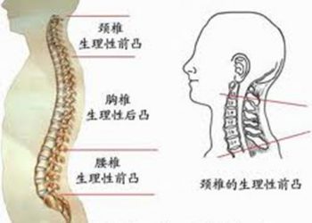 【生活小百科】第38集：高枕真的可以無憂嗎？　