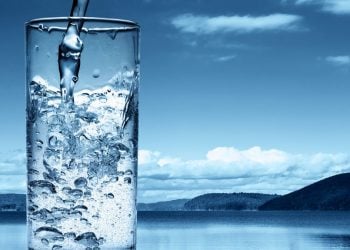 【快樂之源話健康】水：構成生命的最重要元素