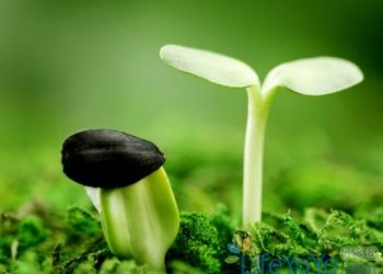 【中醫與養生】孤陰不生 獨陽不長