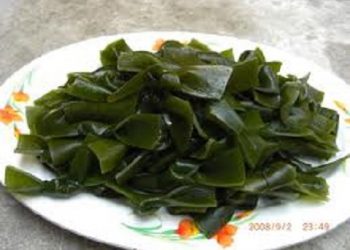 【食療天地】吃海帶的14大好處