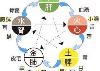 【中醫與養生】五行與人體的關係