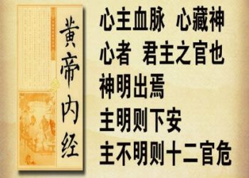 【中醫與養生】心為五臟六腑之主