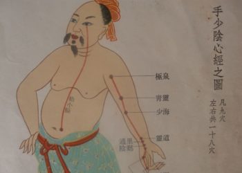 【中醫與養生】手少陰心經