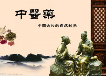 【中醫與養生】  脾的功能