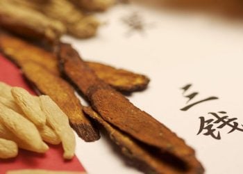 【中醫與養生   脾與血液、肌肉、四肢的關係