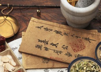 【中醫與養生】  脾的吸收運化功能