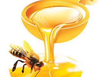 【生活小百科】第46集：買到靚蜜糖