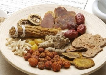 【中醫與養生】  腎臟的功能