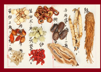 【中醫與養生】  	腎與其他內臟的關係
