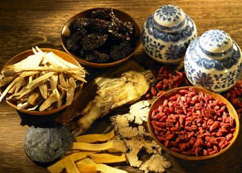【中醫與養生】小腸的功能