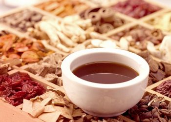 【中醫與養生】大腸的功能