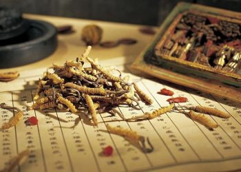 【中醫與養生】常見的膀胱疾病