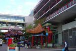 香港希望之聲