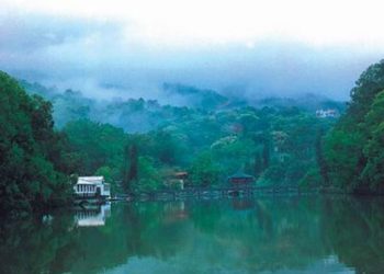 清新空氣難得 大陸好空氣1罐標15萬元