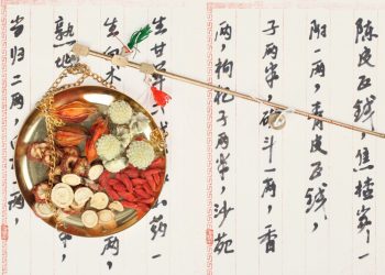 【中醫與養生】人體中氣的作用