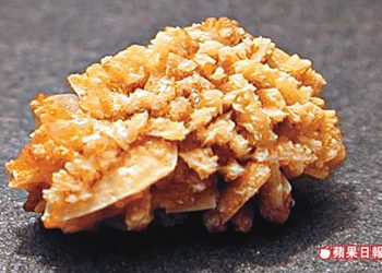 【快樂之源話健康】腎石