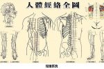 香港希望之聲