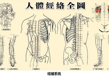 【中醫與養生】經絡學說  (一)