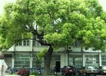 【花園漫步】第64集：一些本地不宜種植的花木
