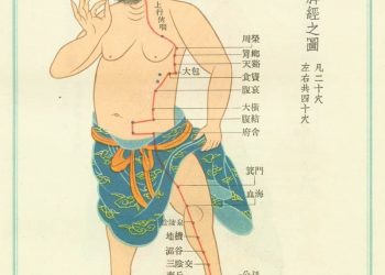 【中醫與養生】足太陰脾經