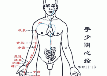 手少陰心經