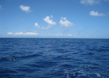 【細說人生】 第194集 – 一條向往天空的魚