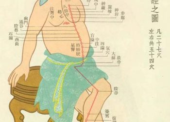 足少陰腎經