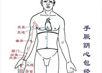【中醫與養生】手厥陰心包絡經