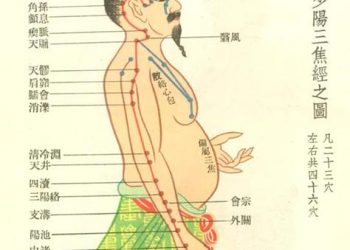 【中醫與養生】手少陽三焦經