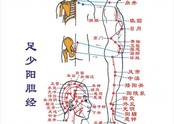 【中醫與養生】足少陽膽經