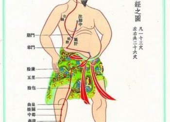 【中醫與養生】足厥陰肝經