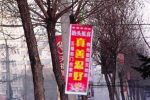 香港希望之聲