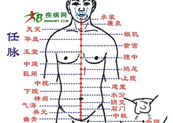 【中醫與養生】任脈