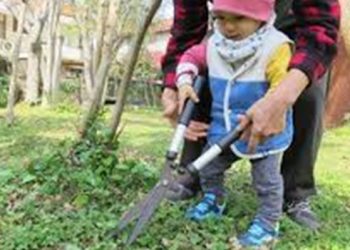 【花園漫步】第75集：花園開春除雜草