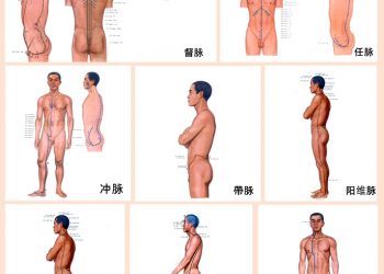 【中醫與養生】奇經八脈
