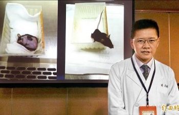 《醫學研究》 動物實驗 拔毛可促使毛髮再生