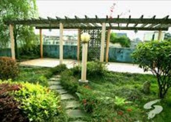 【花園漫步】第87集：花園的管理（1）