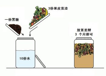 【生活小百科】平靚正 環保酵素DIY
