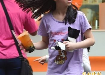 成大研究：塑化劑下肚 幼童易性早熟