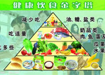 【生活小百科】世界食的傾向