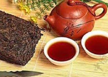 【生活小百科】不同茶的飲用方法