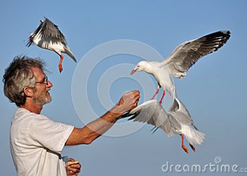 【慧思蘭心】 老人與海鳥的故事