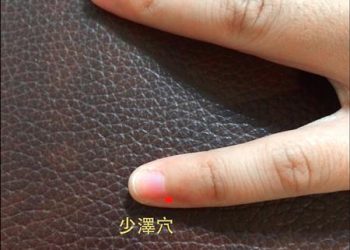 氣血調理好 「餵母乳」 順順順