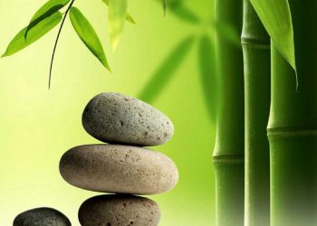 【慧思蘭心】 情商最高的行為是什麼？