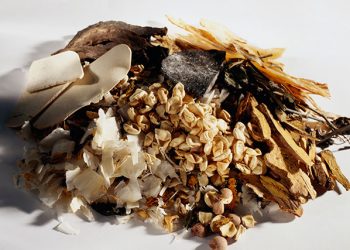 【中醫與養生】胃氣脹的治療方法
