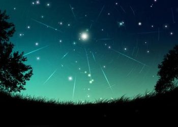 【細說人生】第311集－ 追星星的司機
