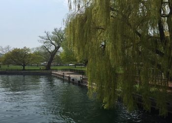 【養生好習慣】疾病只是一個假象，因為“天下無病”
